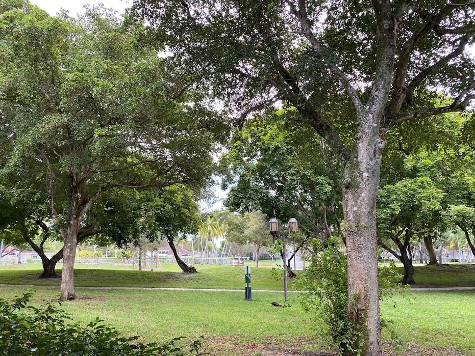 801 Lyons Road, Unit 19108 Coconut Creek, FL 33063 - Photo 32 of 42 a view of a trees in a yard