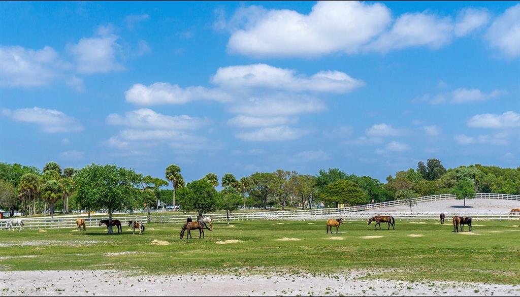 801 Lyons Road, Unit 19108 Coconut Creek, FL 33063 - Photo 40 of 42 a swimming pool with lots of trees in the background