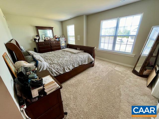 198 Riva Way Palmyra, VA 22963 - Photo 11 of 24