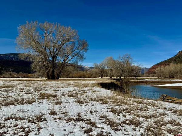 a view of a yard with wooden fence