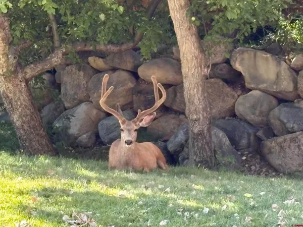 $10,400,000 | 1322 Animas View Drive, Durango, CO 81301