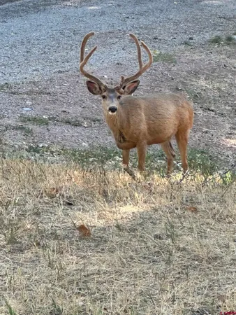 $10,400,000 | 1322 Animas View Drive, Durango, CO 81301