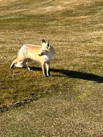 $10,400,000 | 1322 Animas View Drive, Durango, CO 81301