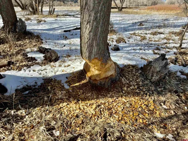 $10,400,000 | 1322 Animas View Drive, Durango, CO 81301