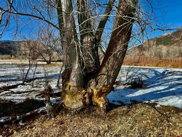 $10,400,000 | 1322 Animas View Drive, Durango, CO 81301