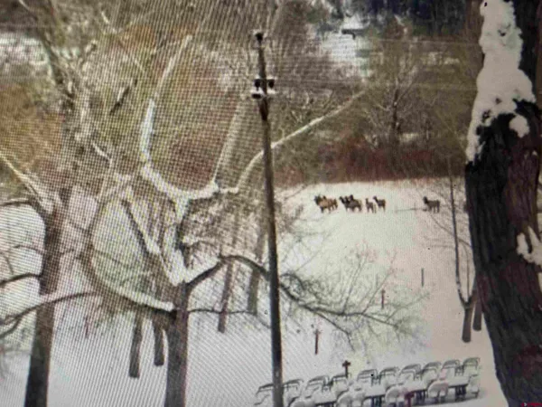 $10,400,000 | 1322 Animas View Drive, Durango, CO 81301