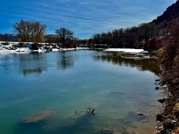 a view of a swimming pool with a lawn chairs and a tree
