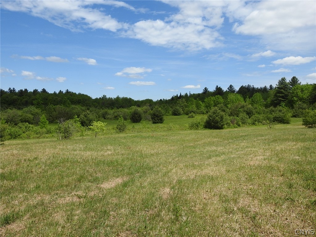0 Bower Road Constableville, NY 13325 - Photo 5 of 37