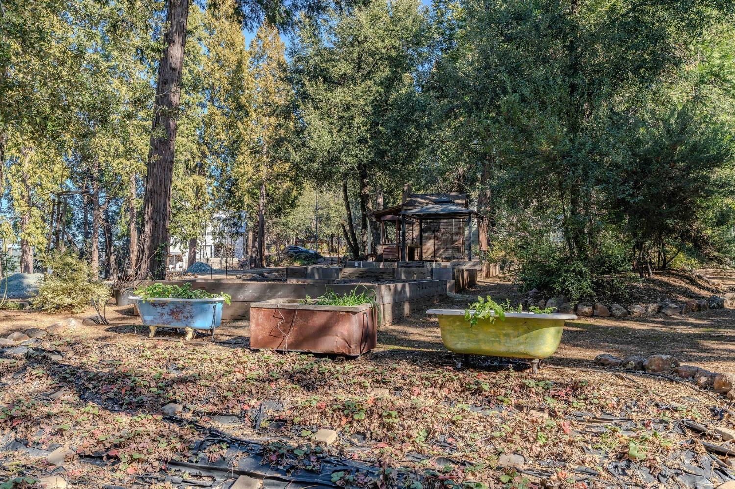 24985 Shake Ridge Road Volcano, CA 95689 - Photo 13 of 92