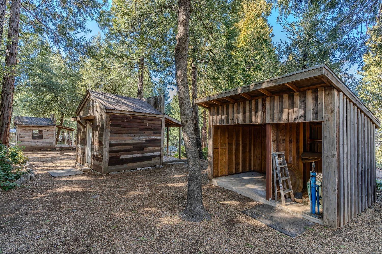 24985 Shake Ridge Road Volcano, CA 95689 - Photo 17 of 92
