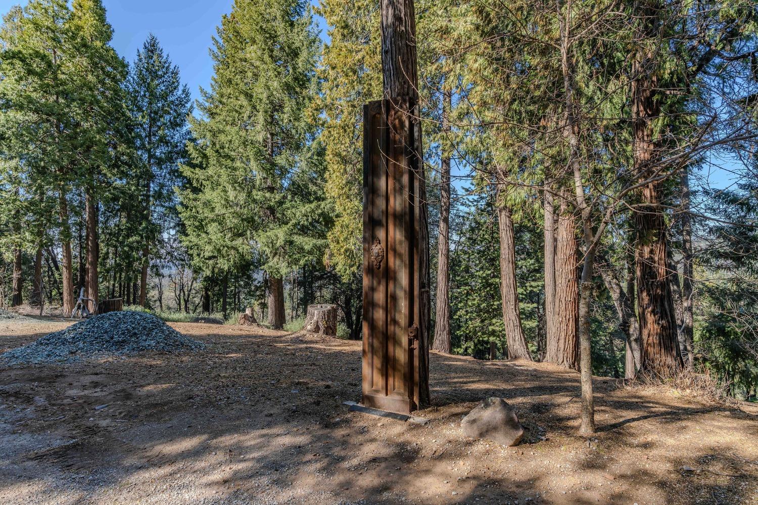24985 Shake Ridge Road Volcano, CA 95689 - Photo 18 of 92 a view of a yard with plants and trees