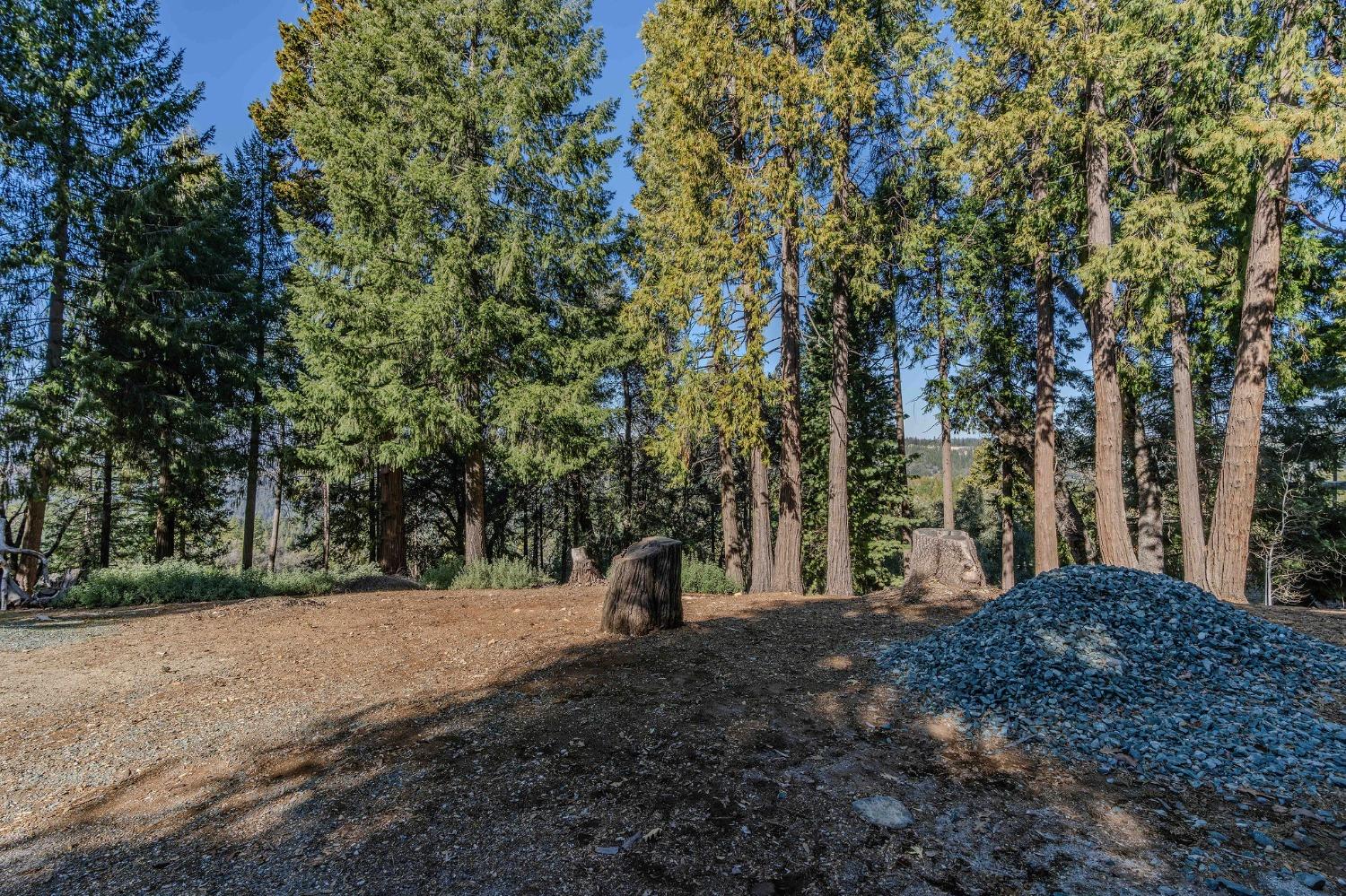 24985 Shake Ridge Road Volcano, CA 95689 - Photo 19 of 92