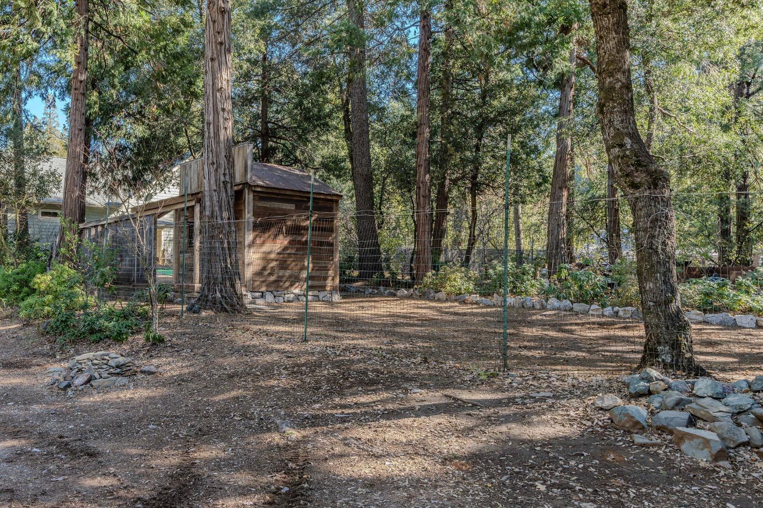24985 Shake Ridge Road Volcano, CA 95689 - Photo 20 of 92 a view of a backyard with large trees