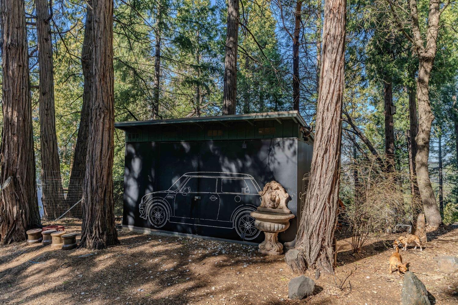 24985 Shake Ridge Road Volcano, CA 95689 - Photo 25 of 92