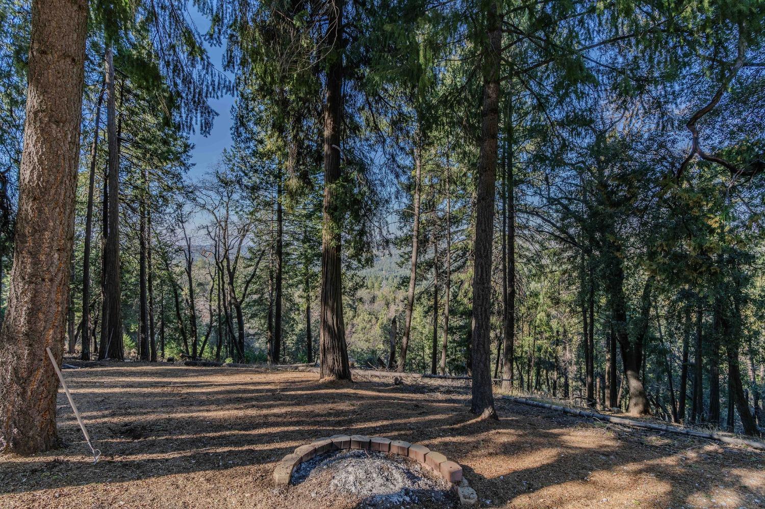 24985 Shake Ridge Road Volcano, CA 95689 - Photo 27 of 92