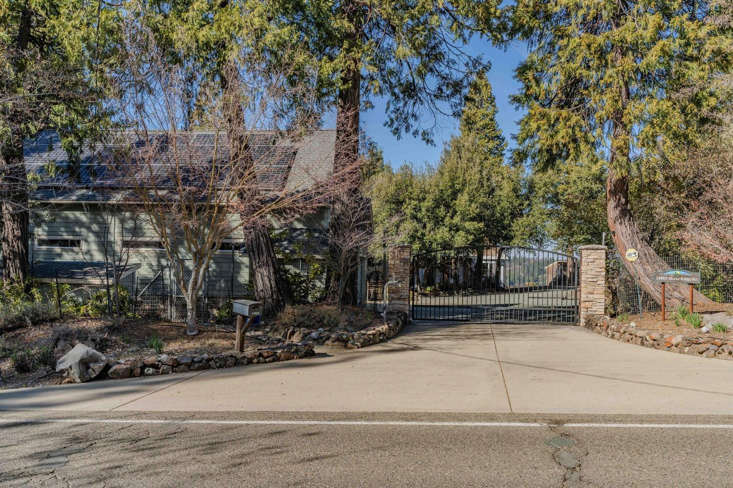 24985 Shake Ridge Road Volcano, CA 95689 - Photo 28 of 92