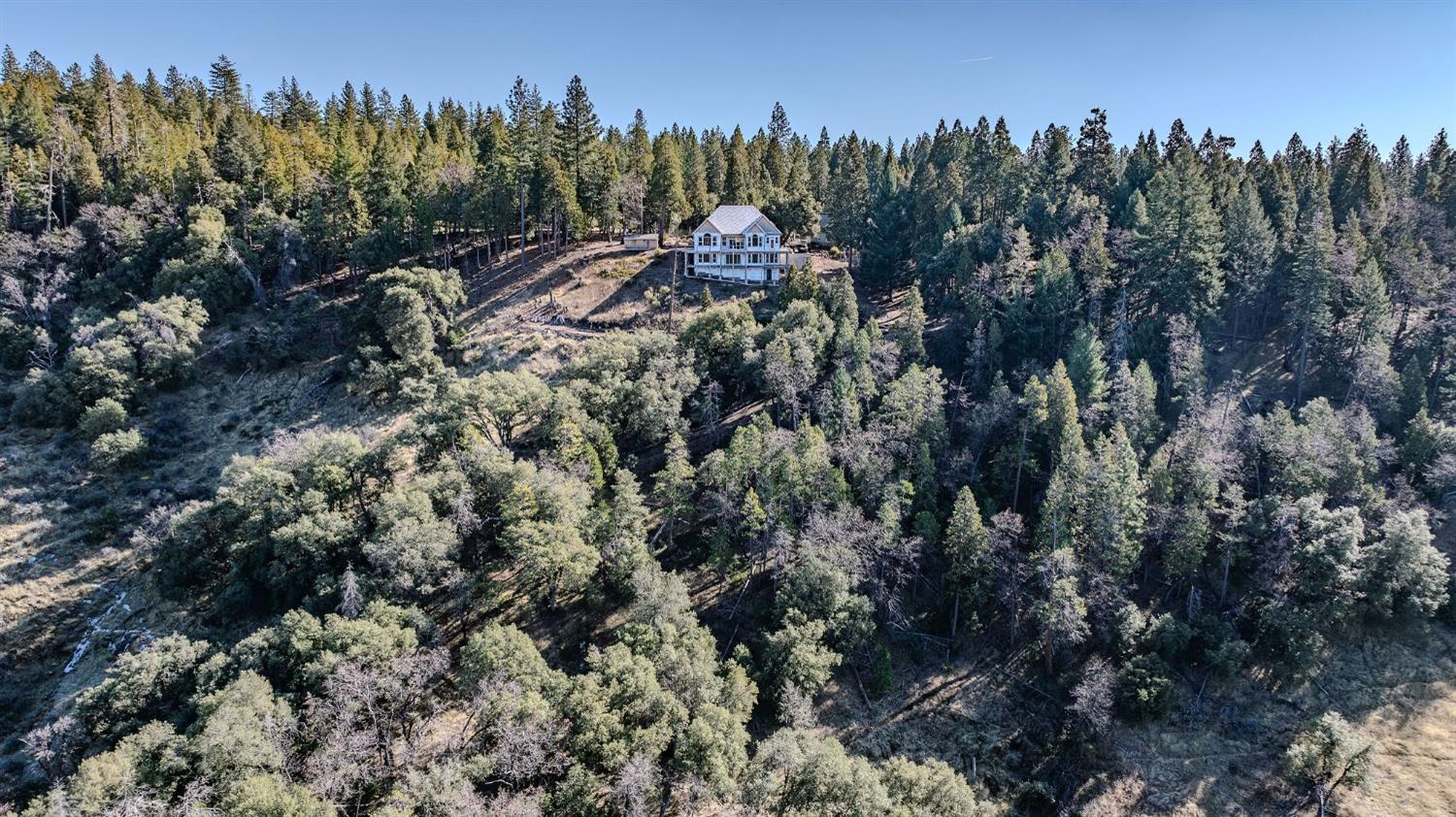 24985 Shake Ridge Road Volcano, CA 95689 - Photo 34 of 92