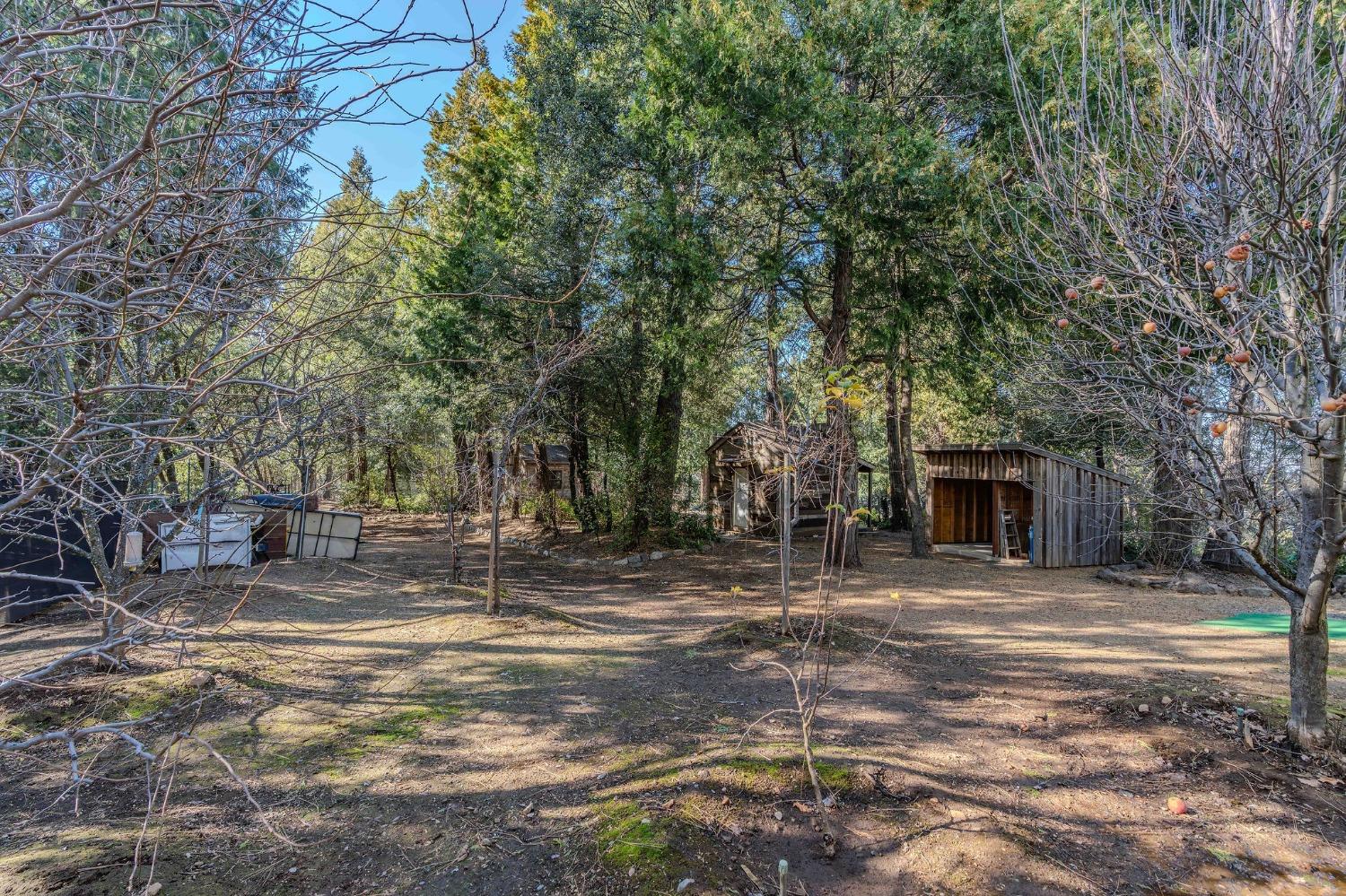 24985 Shake Ridge Road Volcano, CA 95689 - Photo 6 of 92 a front view of a house with a yard