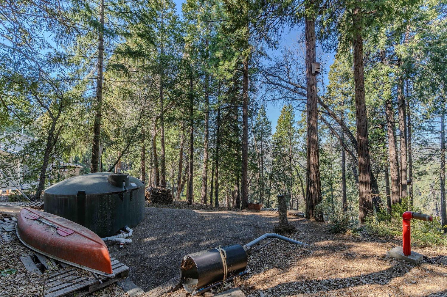 24985 Shake Ridge Road Volcano, CA 95689 - Photo 73 of 92