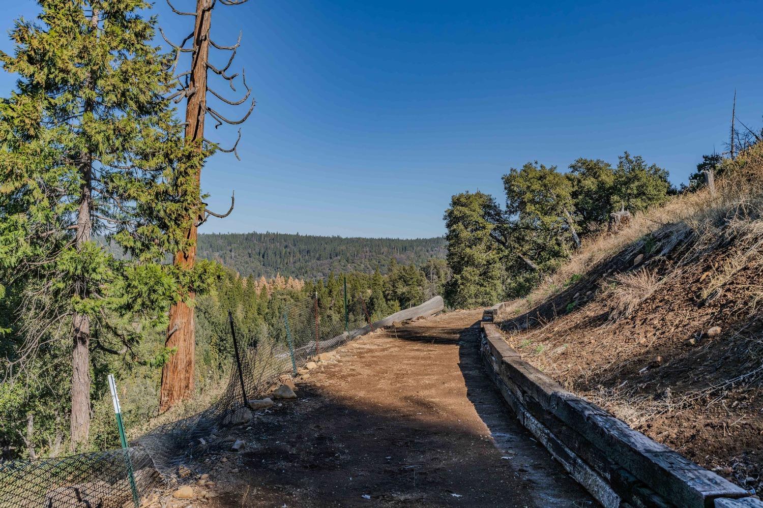 24985 Shake Ridge Road Volcano, CA 95689 - Photo 78 of 92