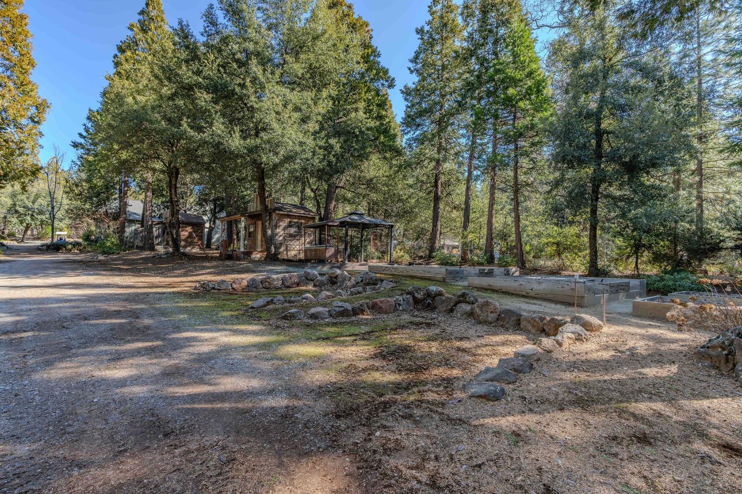24985 Shake Ridge Road Volcano, CA 95689 - Photo 83 of 92