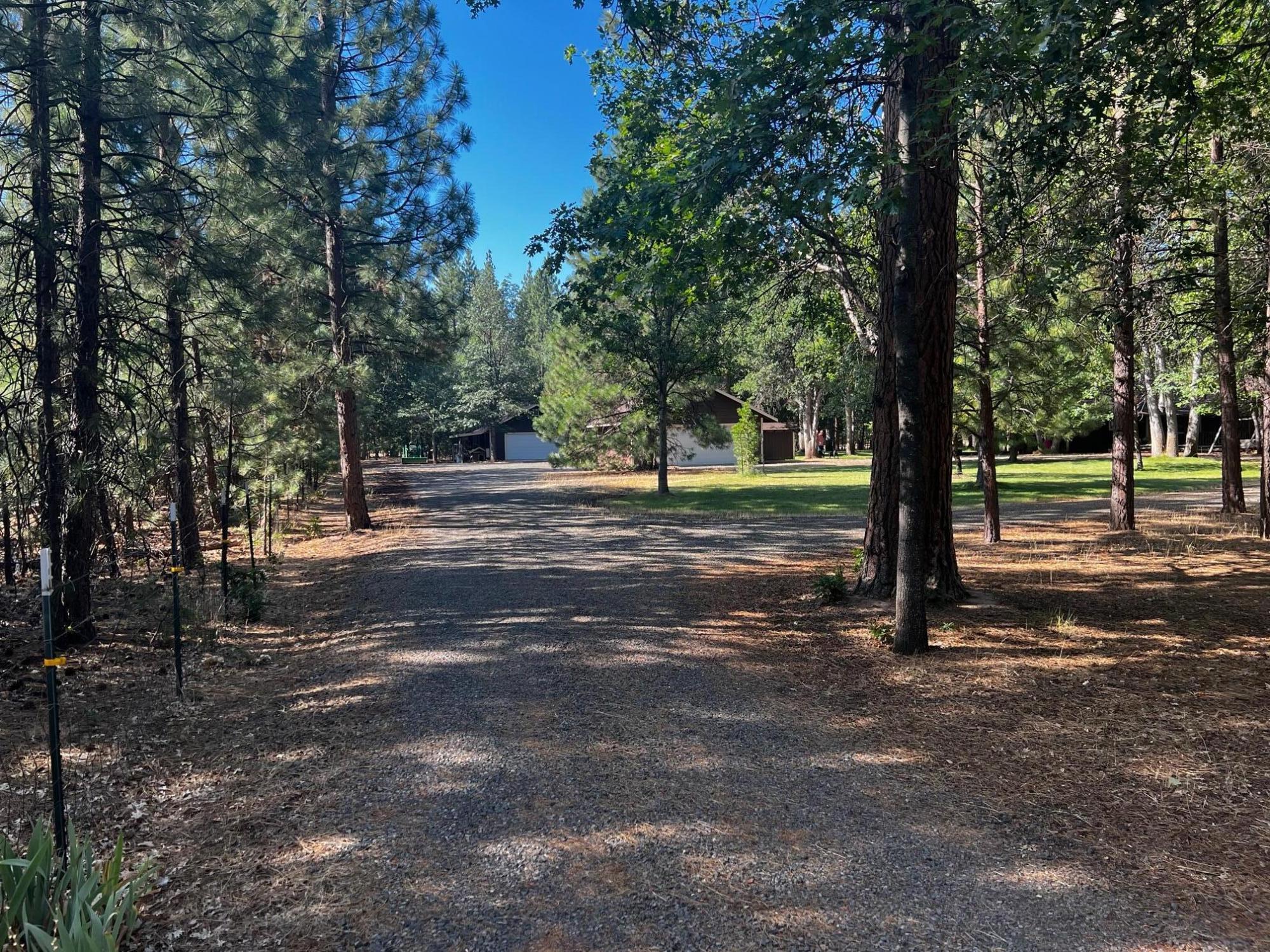 40989 Old School Road Fall River Mills, CA 96028 - Photo 4 of 25 Driveway into Property