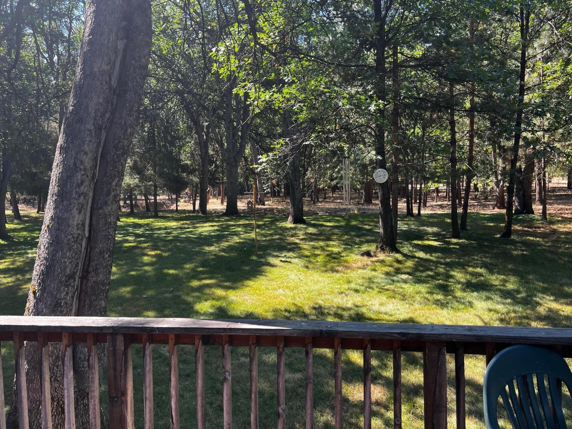 40989 Old School Road Fall River Mills, CA 96028 - Photo 10 of 25 View from back deck