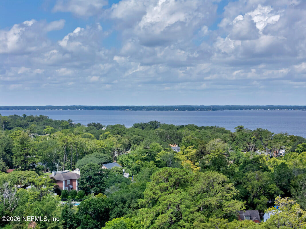 1503 Lorimier Road Jacksonville, FL 32207 - Photo 45 of 46 46