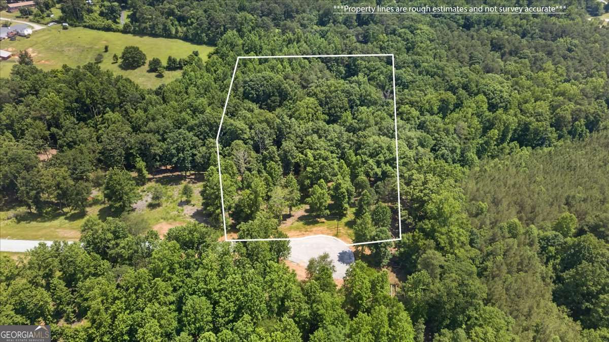 0 Conns Creek Road, Unit 2 Ball Ground, GA 30107 - Photo 21 of 57