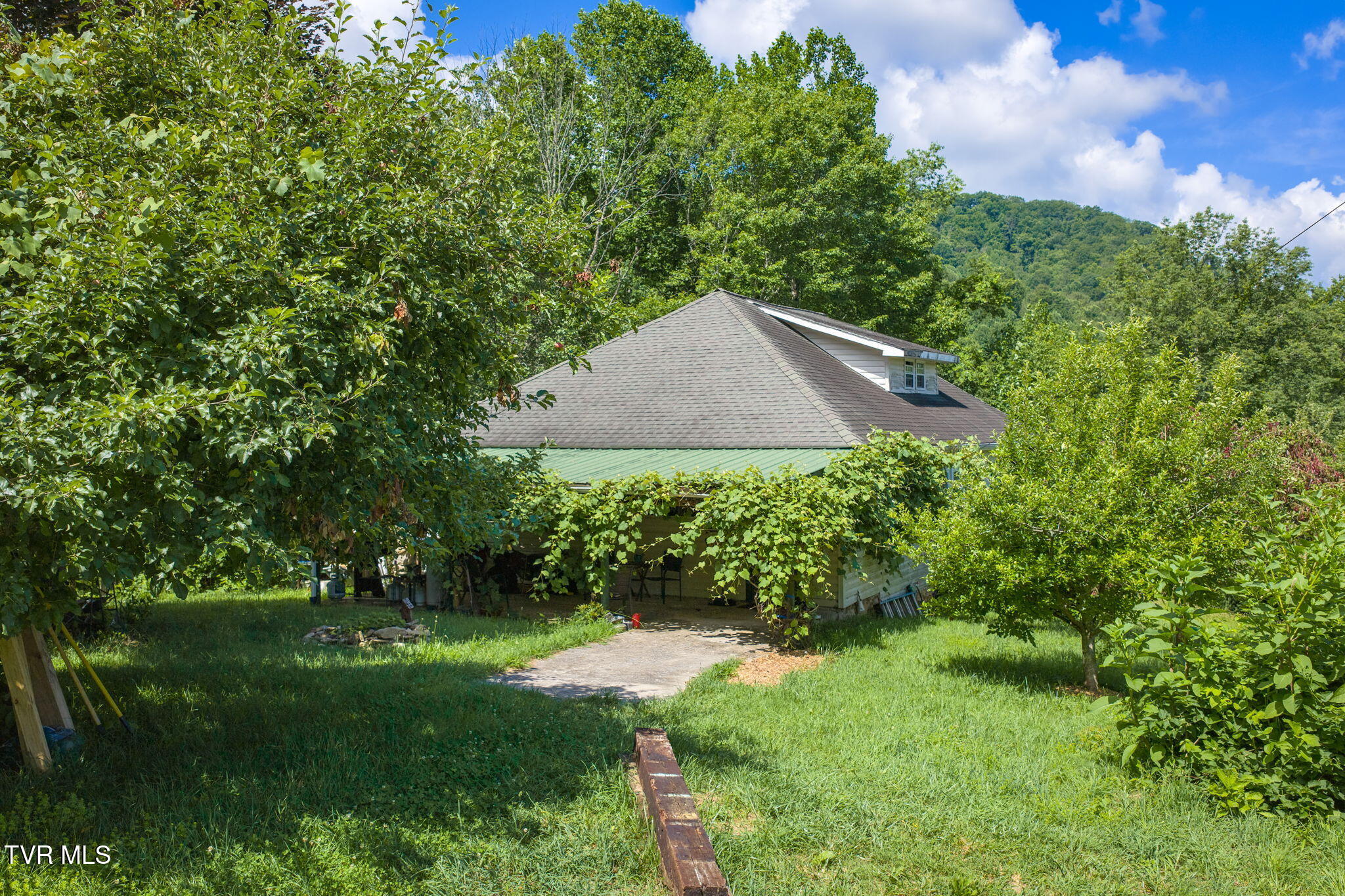 120 Teaberry Road Roan Mountain, TN 37687 - Photo 3 of 56 1-web-or-mls-DJI_20260612111552_0230_D