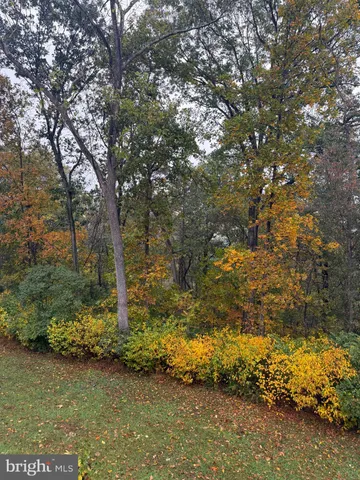 a view of a yard with wooden stairs
