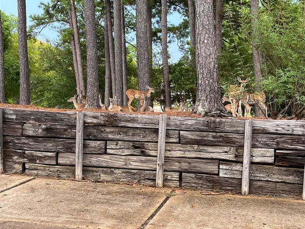 a view of a wooden chairs and iron fence