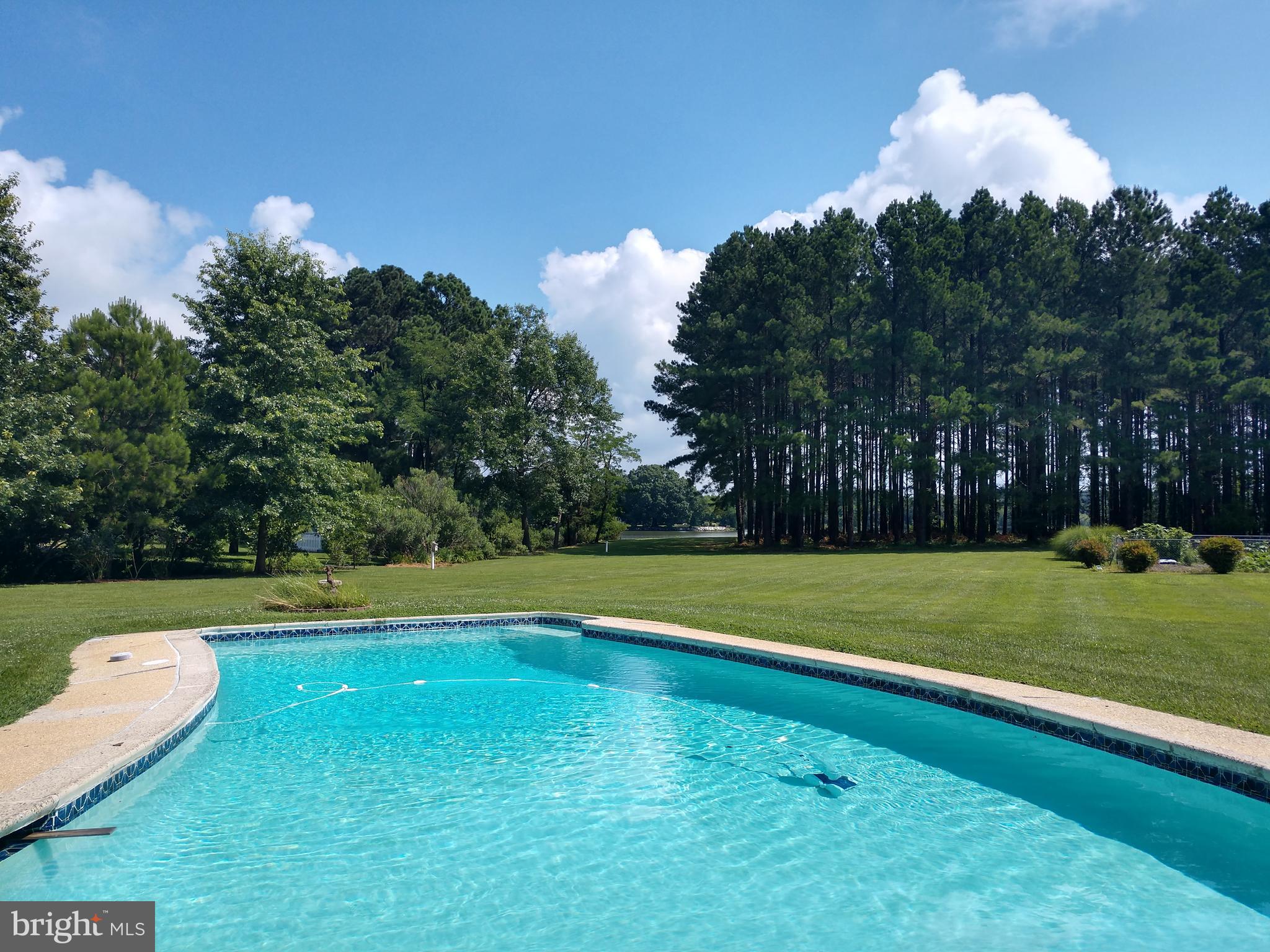 25972 Goose Neck Road Royal Oak, MD 21662 - Photo 20 of 58 Sparkling concrete chlorine pool