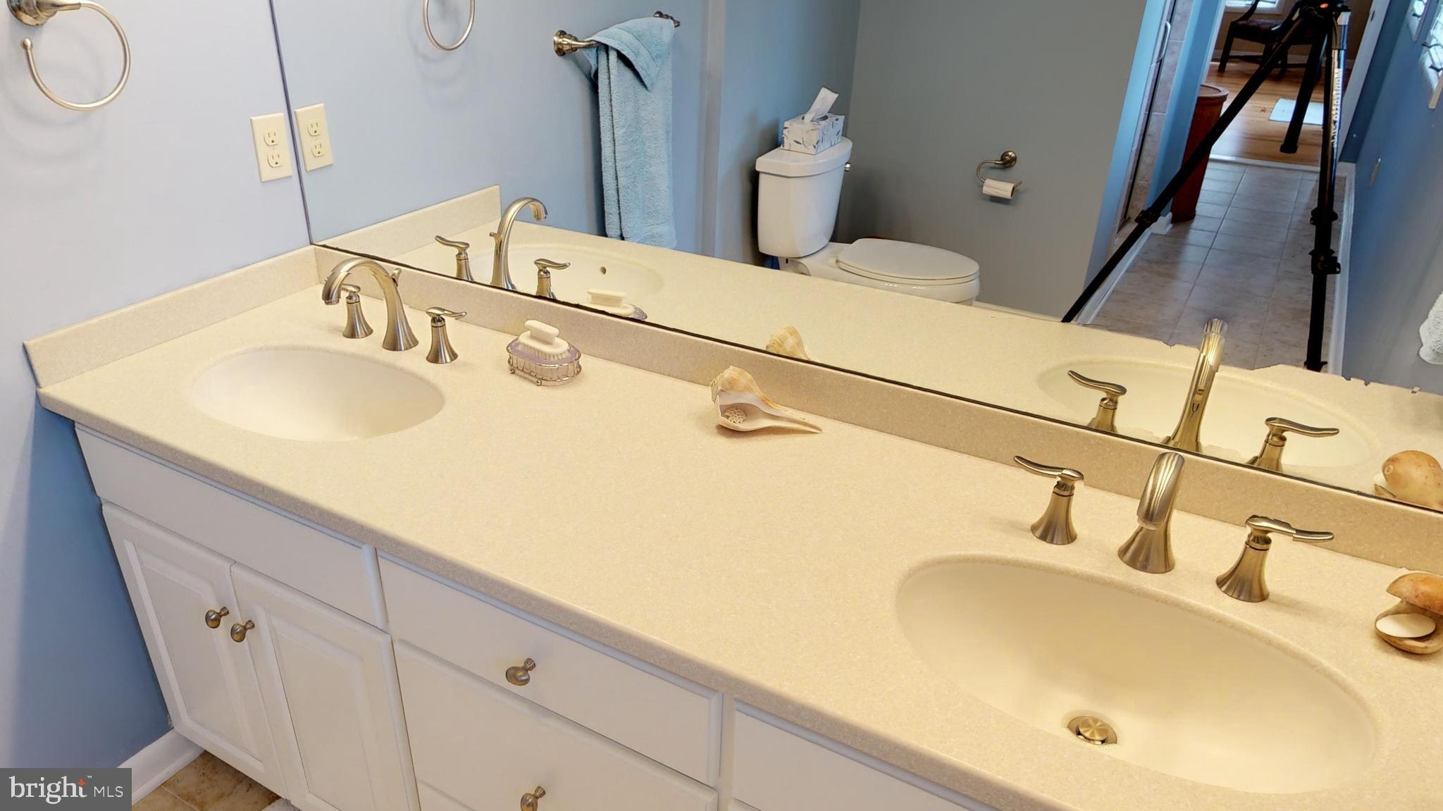 25972 Goose Neck Road Royal Oak, MD 21662 - Photo 35 of 58 Master bathroom