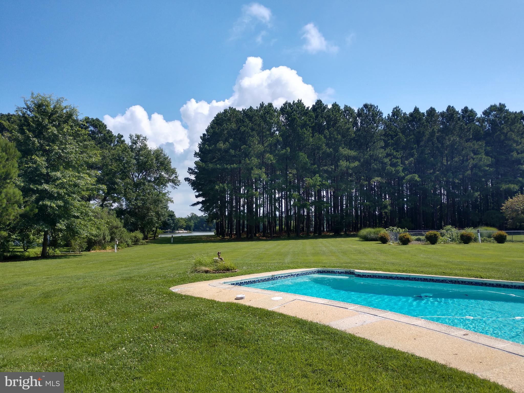 25972 Goose Neck Road Royal Oak, MD 21662 - Photo 5 of 58 View from the pool of Plaindealing Creek