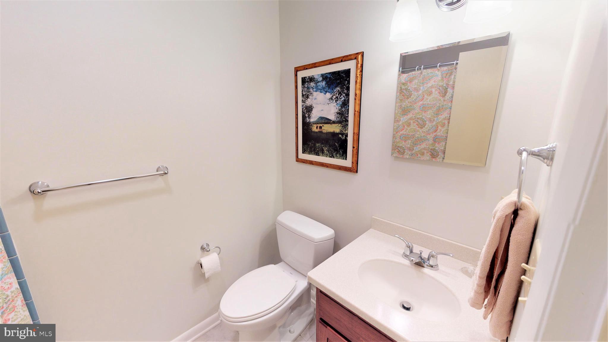 25972 Goose Neck Road Royal Oak, MD 21662 - Photo 41 of 58 Hall bathroom