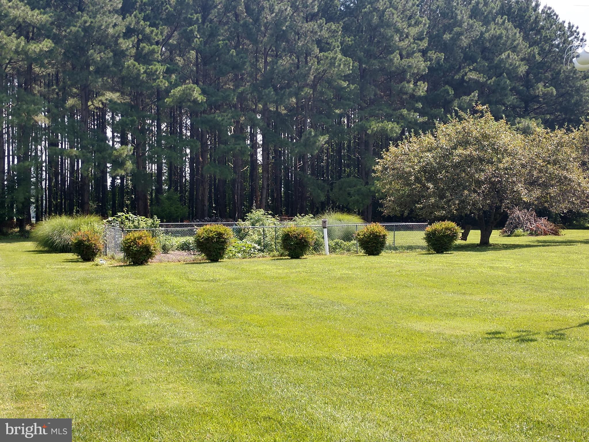 25972 Goose Neck Road Royal Oak, MD 21662 - Photo 53 of 58 Gallery Image 53