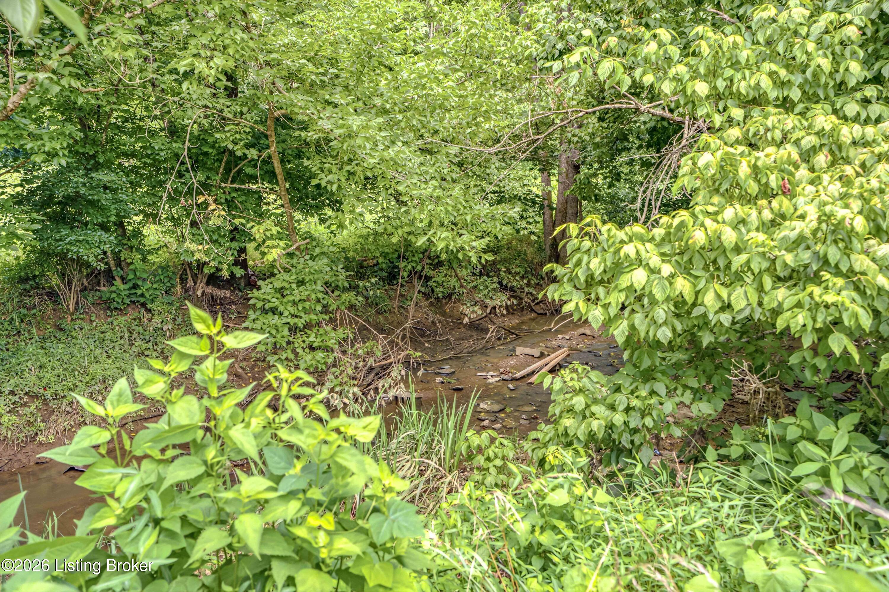 689 Graefenburg Road Waddy, KY 40076 - Photo 45 of 45 45_Creek_Wooded_Area