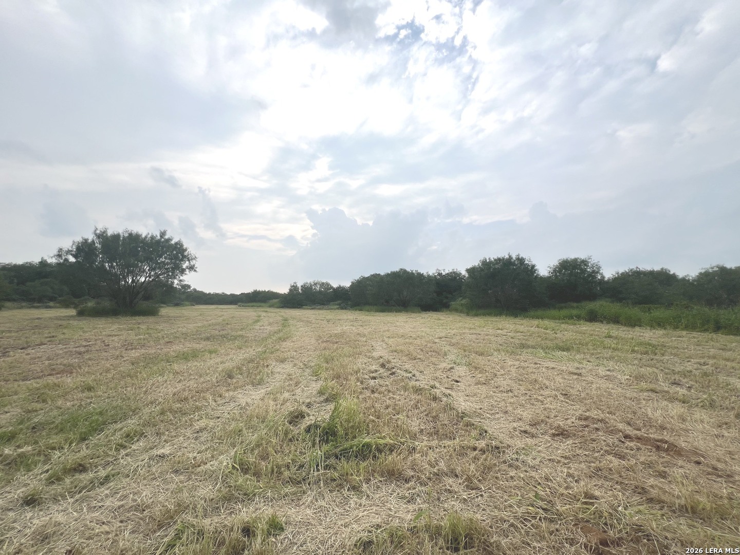 5967 Granato Road Poteet, TX 78065 - Photo 10 of 26 Gallery Image 10