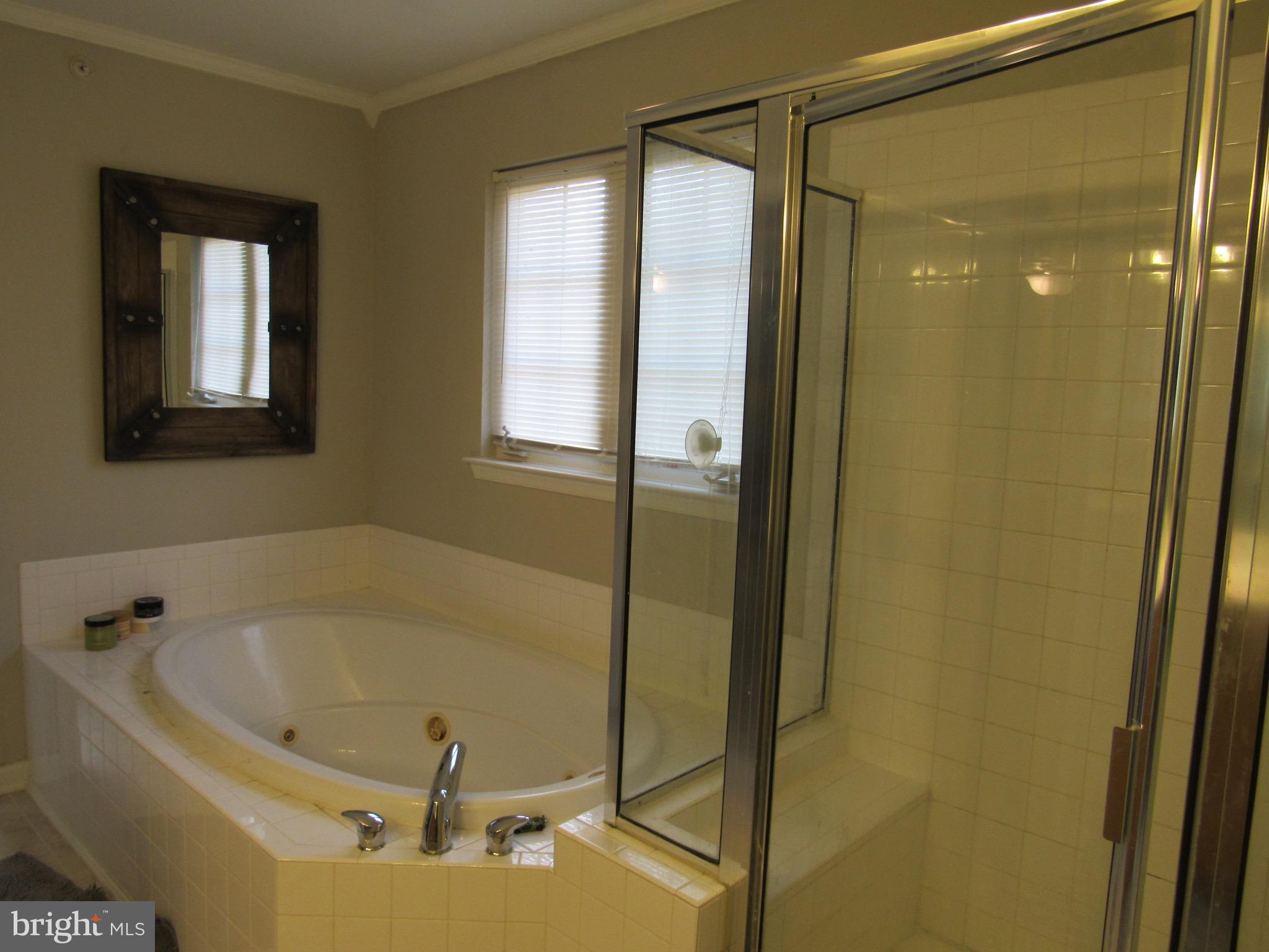 119 Brookview Lane Pottstown, PA 19464 - Photo 15 of 16 Jacuzzi Tub & Shower