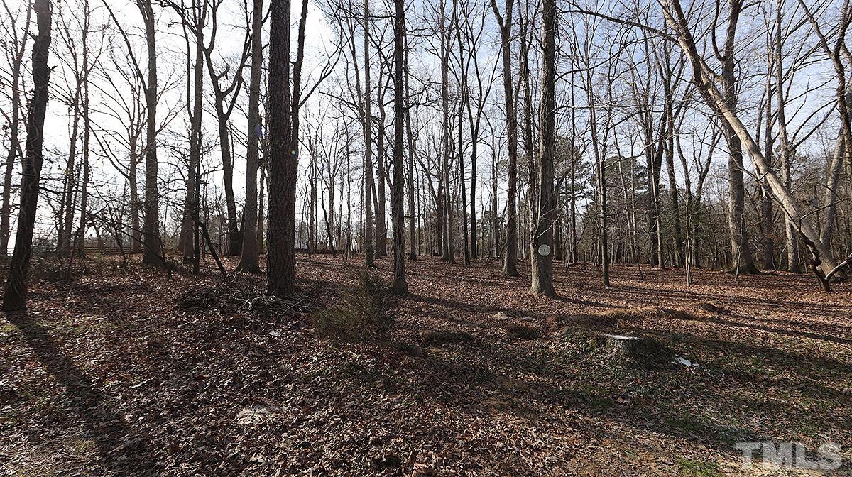 2396 Bynum Ridge Road Pittsboro, NC 27312 - Photo 4 of 12 Gallery Image 4