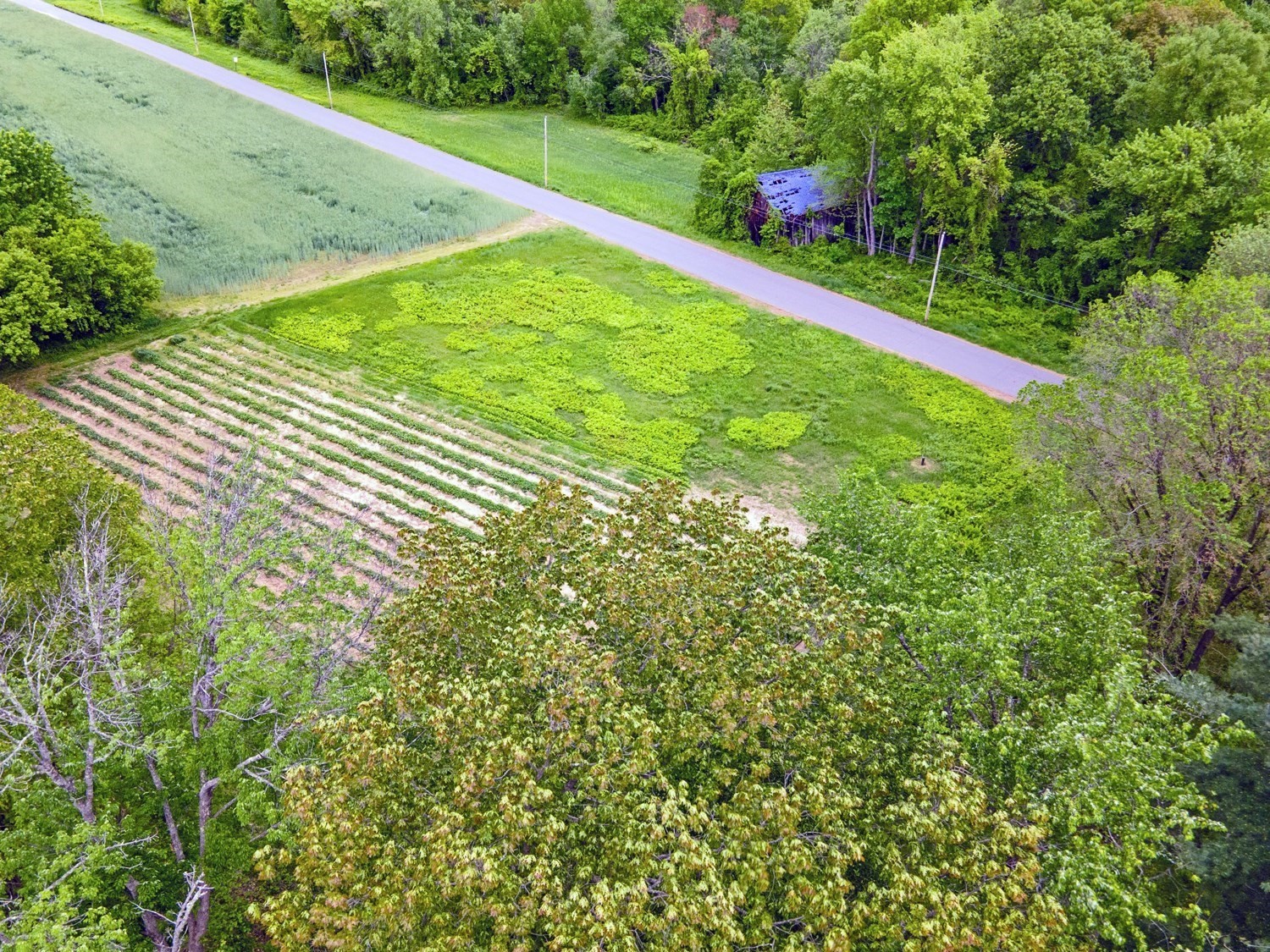 0 Meadow Road Montague, MA 01351 - Photo 6 of 21 Gallery Image 6