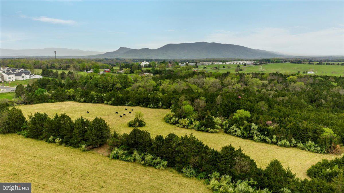 Veterans Road Middletown, VA 22645 - Photo 5 of 19