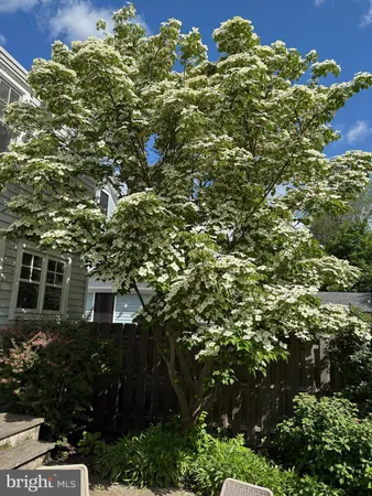 $1,299,900 | 29 Chestnut Street, Princeton, NJ 08542