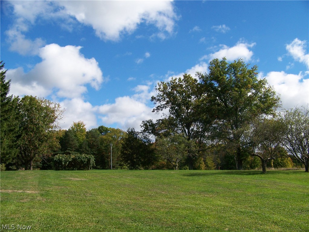 7150 Buffham Road Seville, OH 44273 - Photo 19 of 29 View of back yard - arbor and apple trees