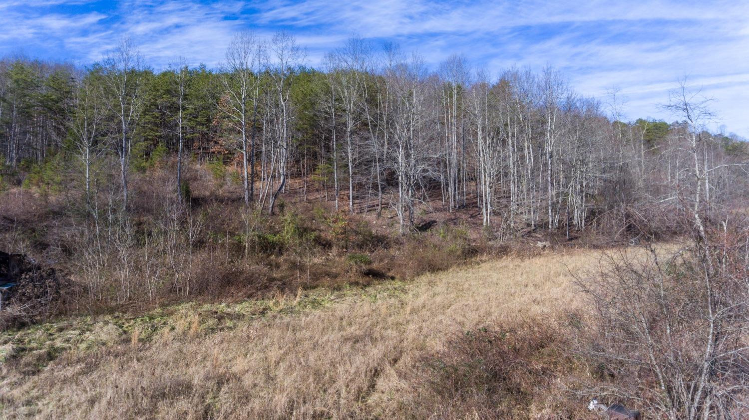 1077 Red Hill Road Livingston, KY 40445 - Photo 26 of 28 Listing Photo