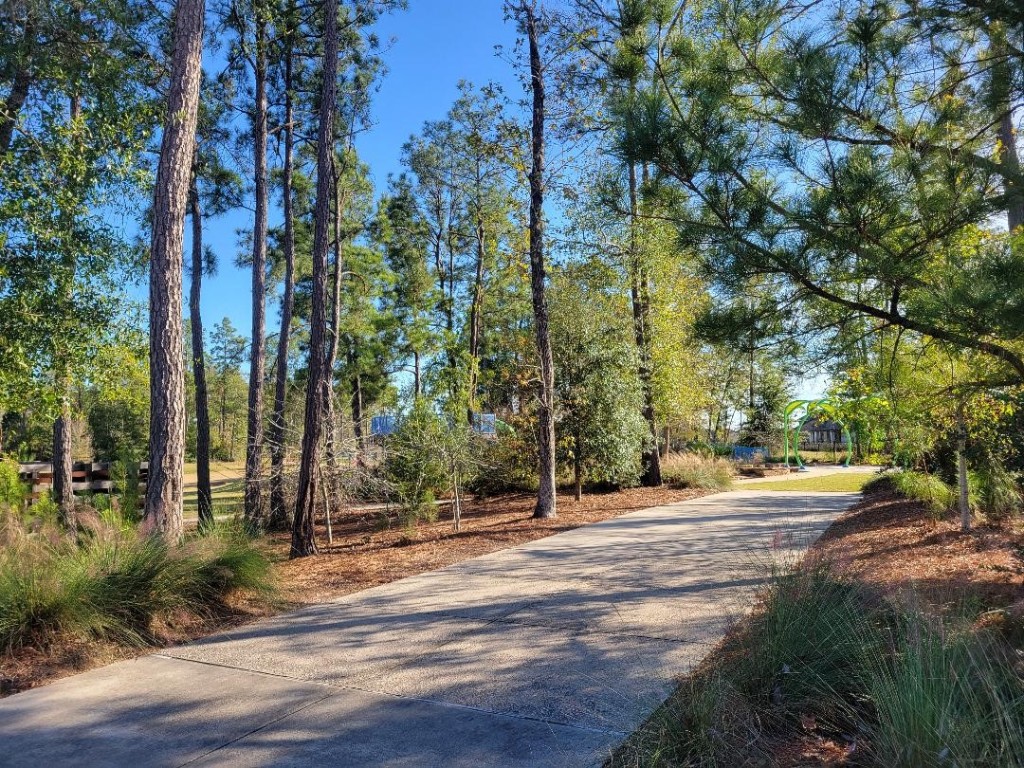 17351 Merigold Hts Drive Conroe, TX 77302 - Photo 40 of 49 a view of a city with tall trees
