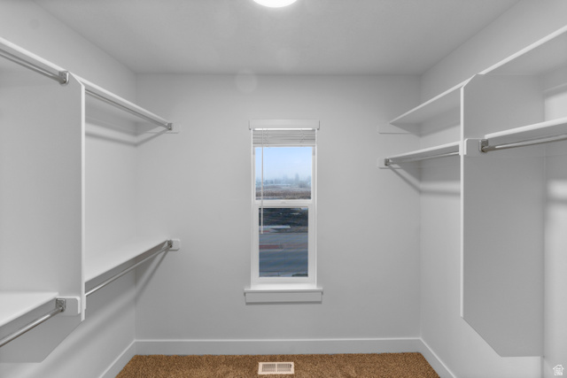 3003 South 265th Street West, Unit 751 Logan, UT 84321 - Photo 28 of 29 Walk in closet with dark carpet