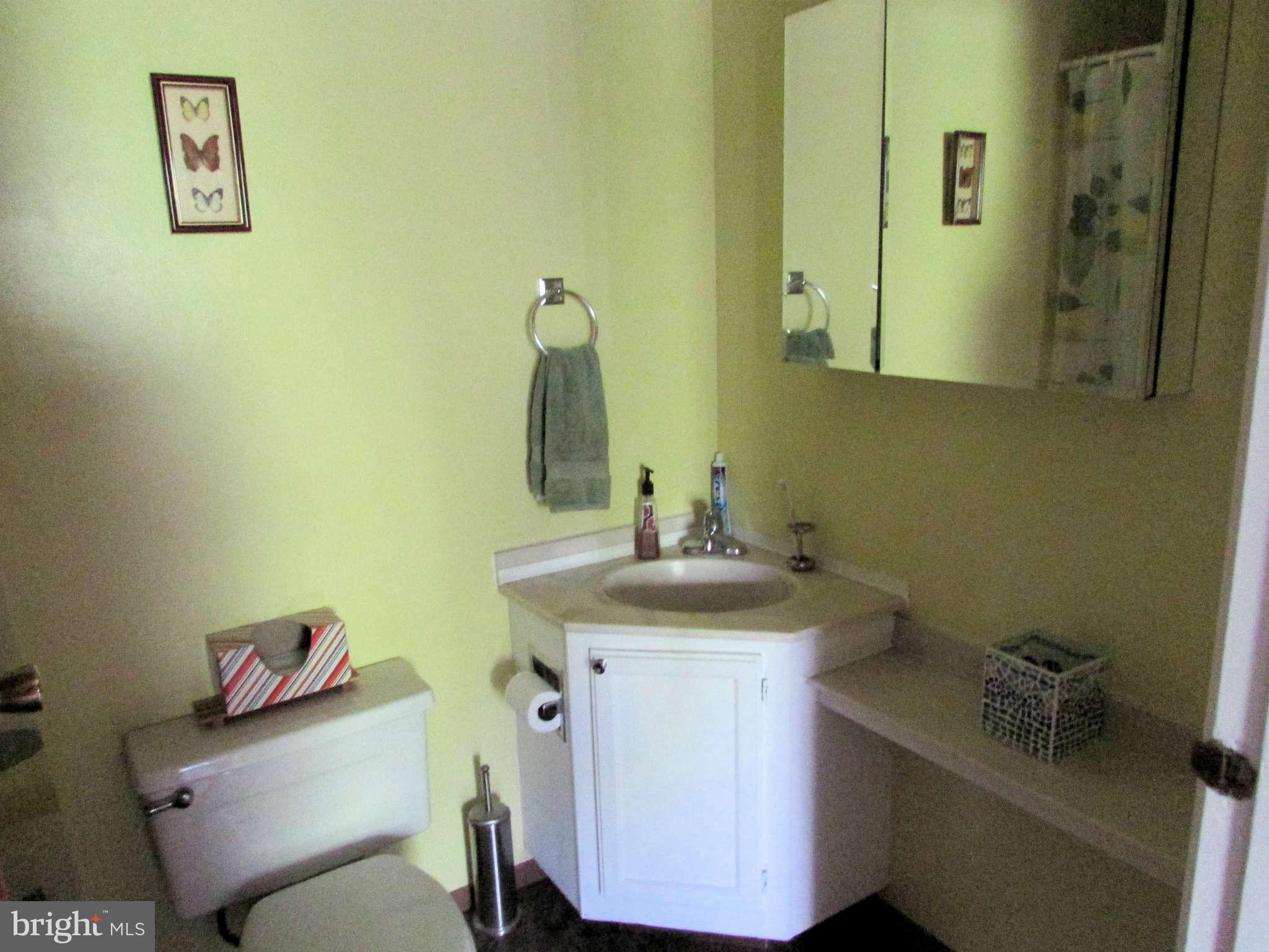 6915 Pinecrest Road Baltimore, MD 21228 - Photo 18 of 30 a bathroom with a sink and a toilet