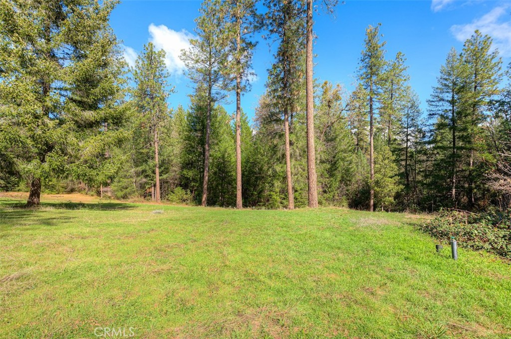 712 Bloomer Hill Road Berry Creek, CA 95916 - Photo 32 of 52